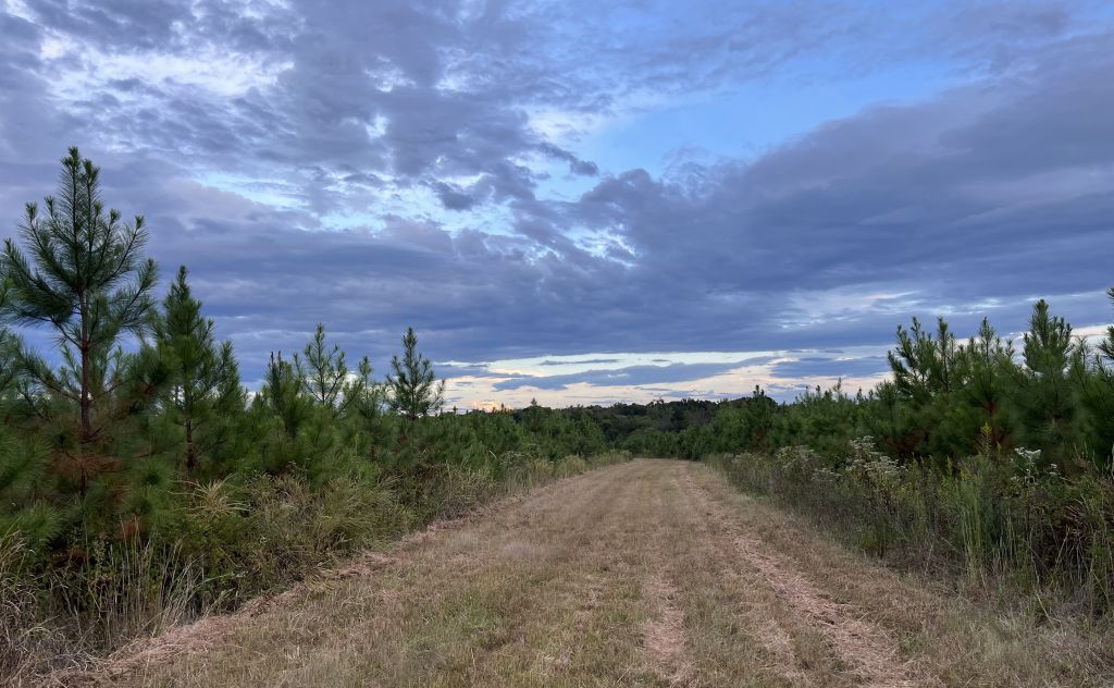 The road that was, the road&nbsp;ahead