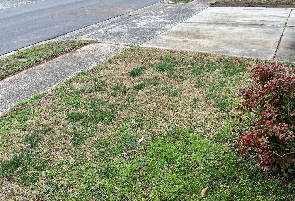 All of the Southeast is in drought, including us